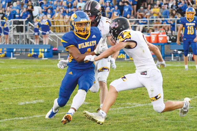 Wildcats shut out Lynx